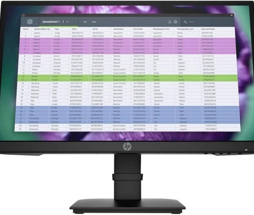 Monitor - HP P22 G4