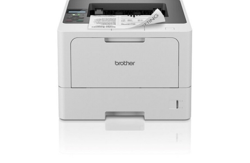 Printer Brother HL L5215dn