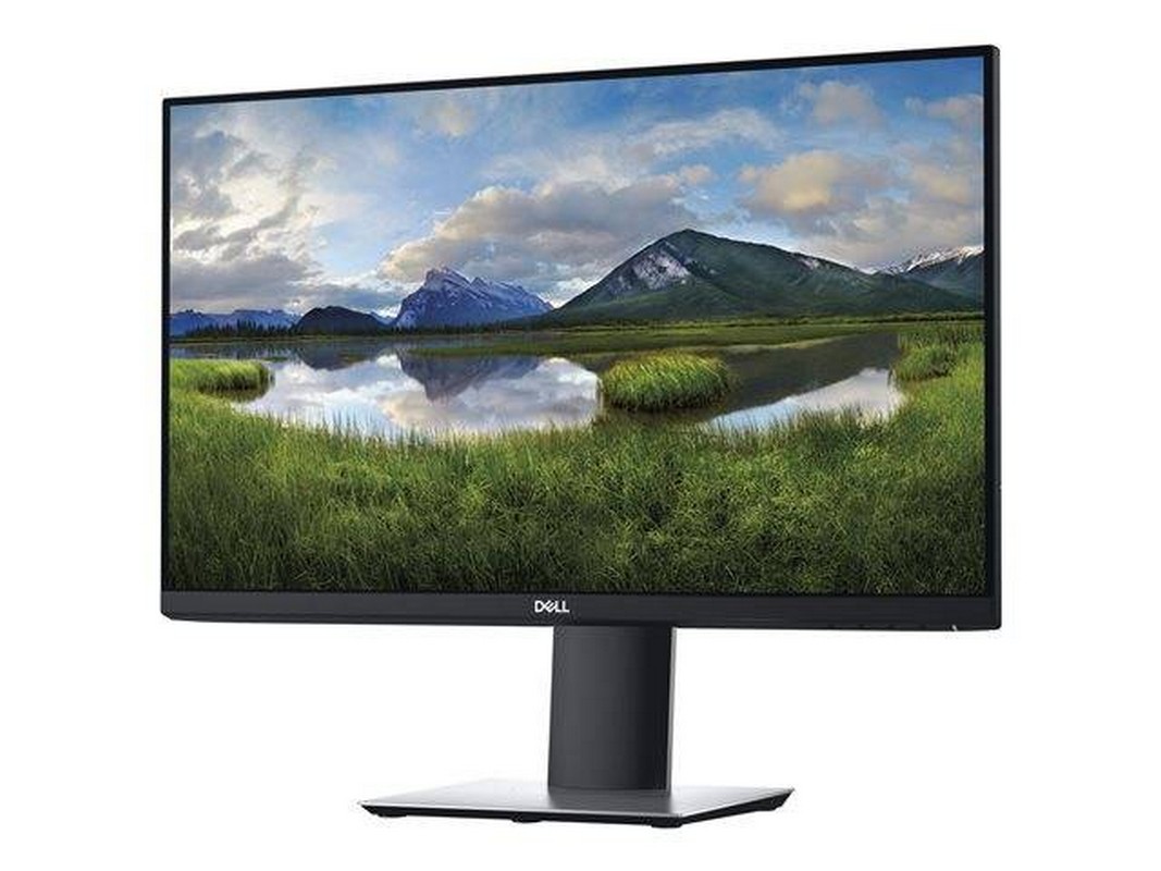Monitor - Dell P2419H
